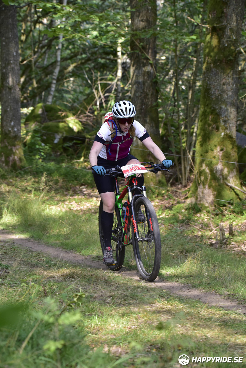 Bild från Bockstensturen 2019